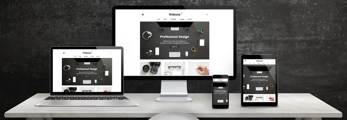 Professional Website Designer in Delhi - Top Rated, Trusted, Affordable